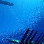 blog_body_waveglider1